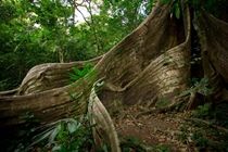 Buena Vista Lodge & Adventure Guanacaste Exterior photo